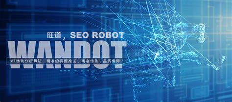 旺道SEO机器人-帮你百度搜索排第一页-360度智能AI网站优化系统 ...