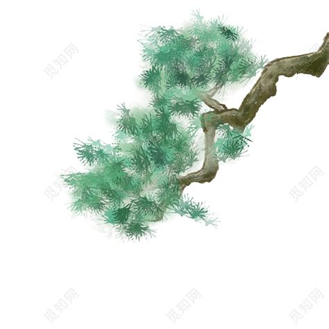 手绘的水彩松树插画素材图片免费下载_高清psd_千库网(图片编号11624129)