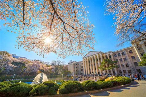 韩国大学排名2022(最新韩国大学排名)_烁达网