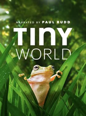 Tiny world 小小世界 大自然科普动画片_ 动物百科 _ 两季全_ 百度网盘-郝分享