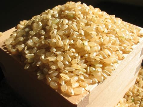 这种红色的米比较少见, 它的营养价值非常高, 你有吃过这种米吗?|高原|红米|稻米_新浪新闻
