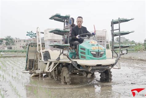 走过路过不要错过，台农谢东庆在福建打造“大陆阿里山”_腾讯视频