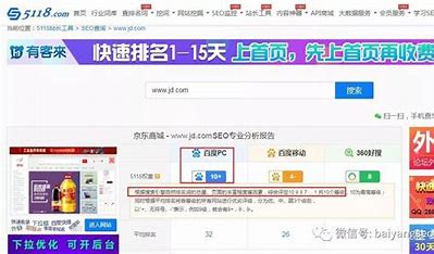 上海网站权重优化 的图像结果