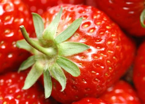 草莓英文怎么读语音