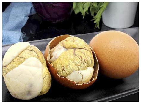 实蛋和毛蛋的区别 实蛋和毛蛋的区别介绍_知秀网