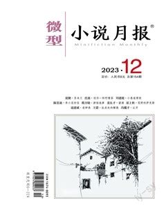 微型小说月报 2023年第12期-龙源期刊网