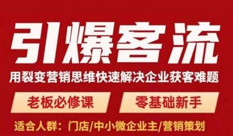 引爆客流，用裂变营销思维快速解决企业获客难题，老板必修课，零基础新手-阿麦资源