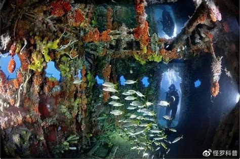 “莱州湾人工鱼礁栖息地生态修复示范研究”通过专家现场验收-中国水产科学研究院