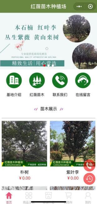 绿道园林参展第十五届苗木交易会 - 武汉泽安园林工程有限公司