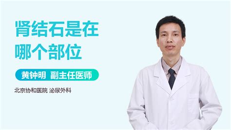 肾结石-腹部CT诊断-医学