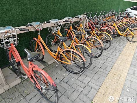国庆假期，西安公共自行车免费骑_业务