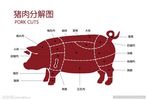 猪肉分割图设计图__餐饮美食_生活百科_设计图库_昵图网nipic.com