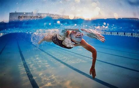 1400余名游泳爱好者元旦横渡长江 完成2018年万里长江第一渡 - 滚动 - 华西都市网新闻频道