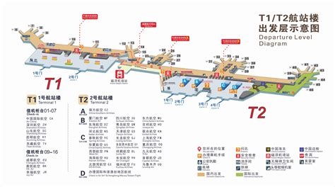 浦东机场t2示意图,上海浦东机场示意图,浦东机场t2出发平面图_大山谷图库