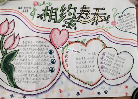 手抄报大全图片