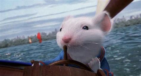 《精灵鼠小弟》——小白鼠当孩子、做兄弟，这真是个简单美好的世界 - 知乎