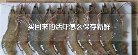 活虾,饮食制作,食品餐饮,摄影素材,汇图网www.huitu.com