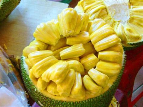 菠萝蜜籽怎么吃好 怎么吃菠萝蜜籽_知秀网