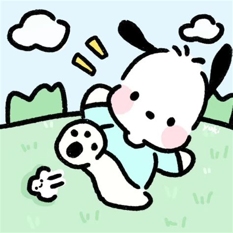 帕恰狗头像图片