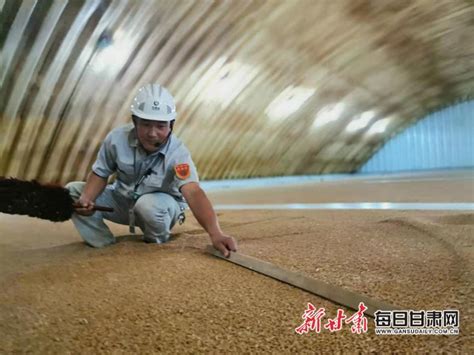 温州中储粮 - 河南滑模建筑工程有限公司