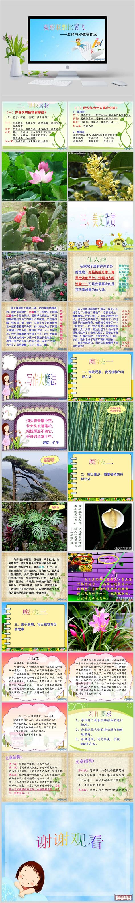 小学描写植物的作文400字锦集七篇-Word模板下载_编号lejnonag_熊猫办公
