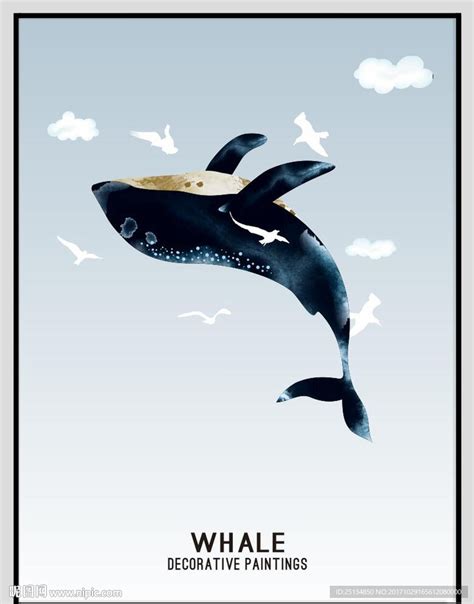 这本书带你全方位了解鲸鱼家族
