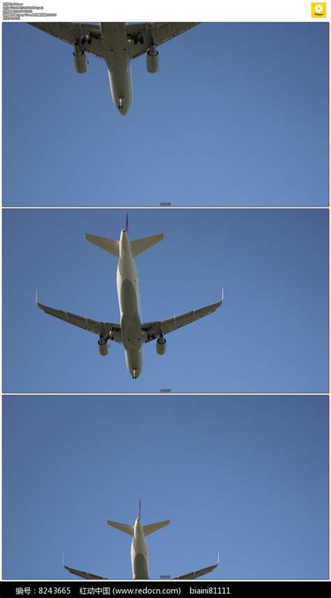 飞机起飞实拍视频素材图片_实拍素材_编号8765305_红动中国