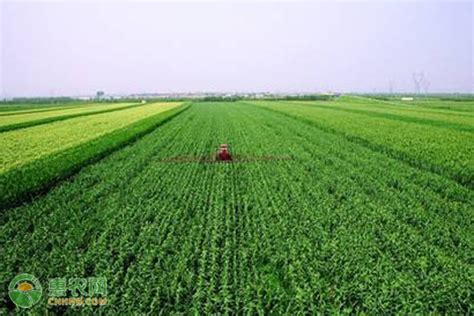 农业发展有限公司经营范围及注册 - 惠农网