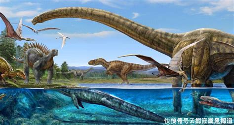 世界上最大的恐龙排名(3)