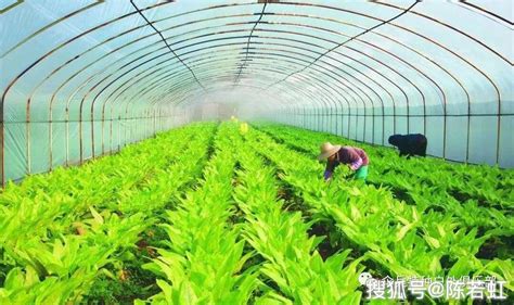 生态循环农业来了！重固以绿色发展引领乡村振兴_图片新闻_重固镇_上海市青浦区人民政府