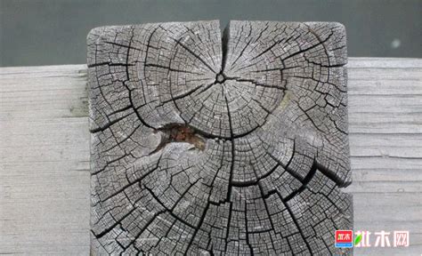 如何应对木材缺陷——裂痕【木材圈】 - 木材专题 - 木材圈