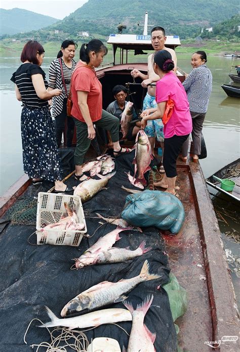 渔民买来上千米鱼网，在海里地毯式捕捞，收获满满#户外#户外捕鱼#赶海#抓鱼#海鲜_高清1080P在线观看平台_腾讯视频