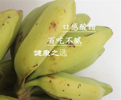 10斤广西大芭蕉牛蕉大蕉牛角蕉新鲜香蕉水果无催熟剂-淘宝网