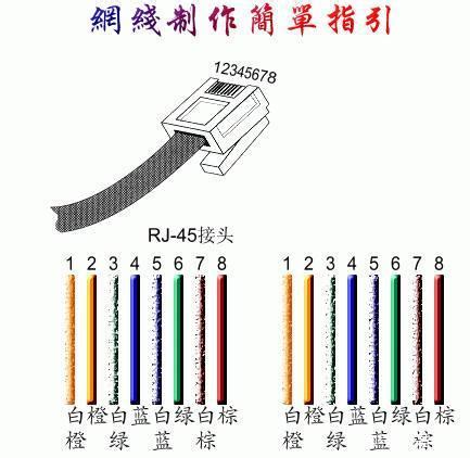 水晶头接法图解图片