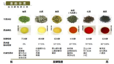 茶知识 | 一分钟轻松了解中国六大茶类（干货分享） - 知乎