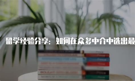 留学经验分享：如何在众多中介中选出最好的？