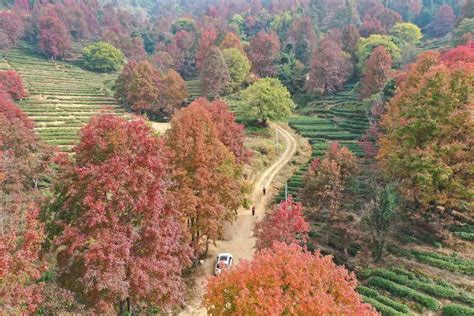 湘潭农庄,湘潭特产,湘潭景点(第10页)_大山谷图库