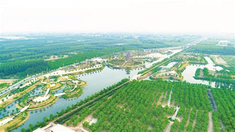 浙江大学国家大学科技园鹃湖启真创新港孵化器项目签约