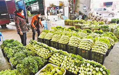 8月11日新联农副产品市场蔬菜进货2356吨 -天山网 - 新疆新闻门户