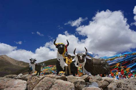 都是4000米海拔，为何西藏让人缺氧，外国却在那里定都？_高原