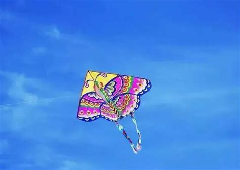 深圳国际风筝赛在大梅沙海滨公园举行 千筝万鸢翱翔梅沙上空_盐田网