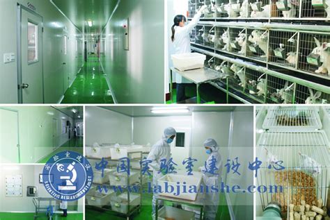 动物实验室装修设计方案 - 中国实验室建设中心