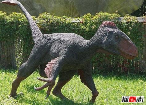 最可怕的五种恐龙(5种恐龙身体庞大，生性残暴)-风水人