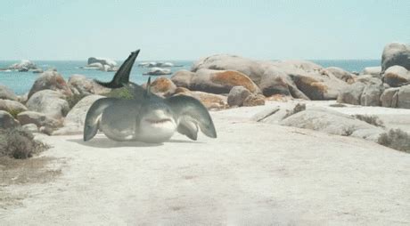 这部电影里的鲨鱼用头走路，导演的脑洞真是太大了！|夺命六头鲨影评|夺命六头鲨评分