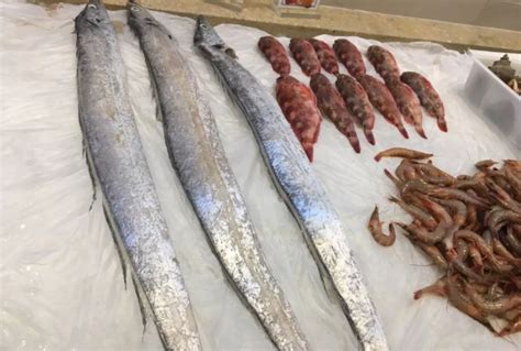 鲜到鲜得 冷冻舟山带鱼段900g 刀鱼 深海鱼 生鲜 鱼类 海鲜水产 去头去尾-商品详情-菜管家