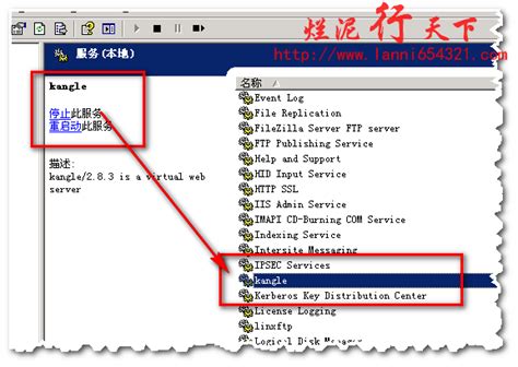 kangle虚拟主机系统easypanel使用教程 - 爱码网