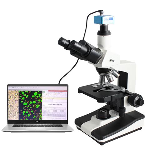 扫描电子显微镜（SEM）之基本知识篇 - 知乎