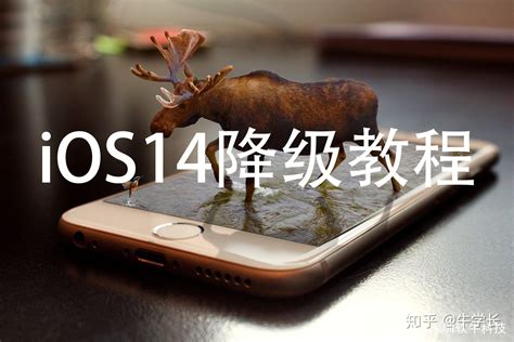 iOS 11 怎么降级到 iOS 10.3.3 - 知乎