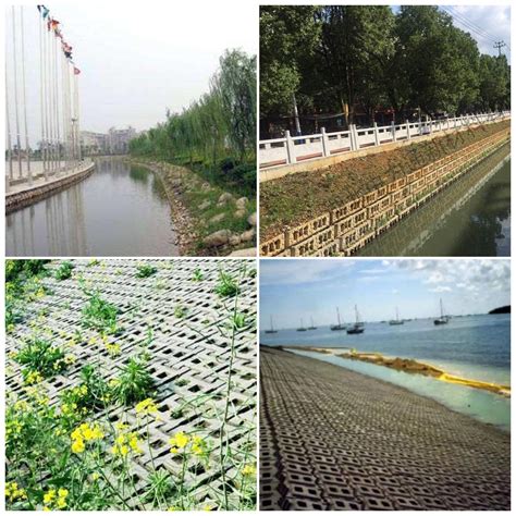 生态护岸的十二种方法——链锁式生态砖块护岸-文化园地-景德镇市水利规划设计院