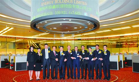 2017中国500强发布 协鑫集团新能源行业居首_世纪新能源网 Century New Energy Network